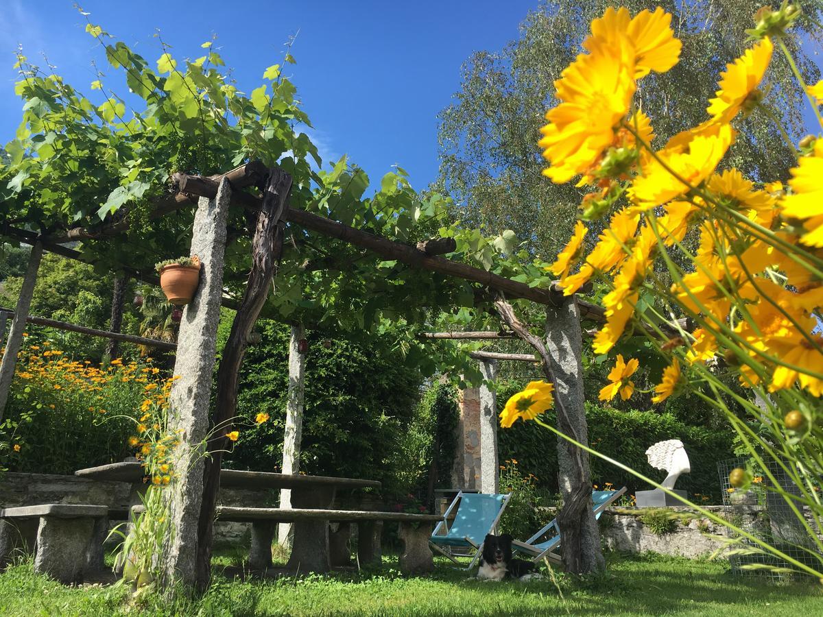 Sempreverde Bed & Breakfast